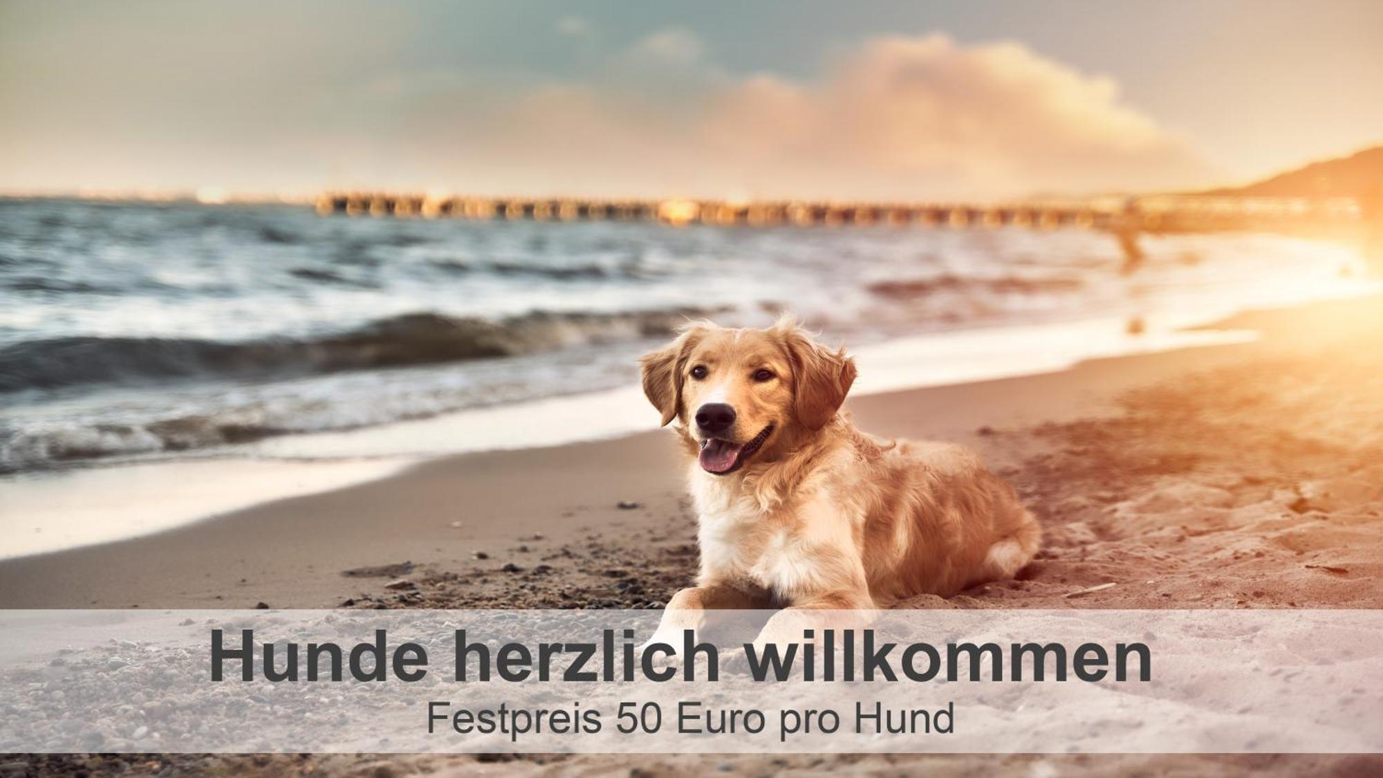 Gulfhof-Ferien Briese Apartman Großheide Kültér fotó